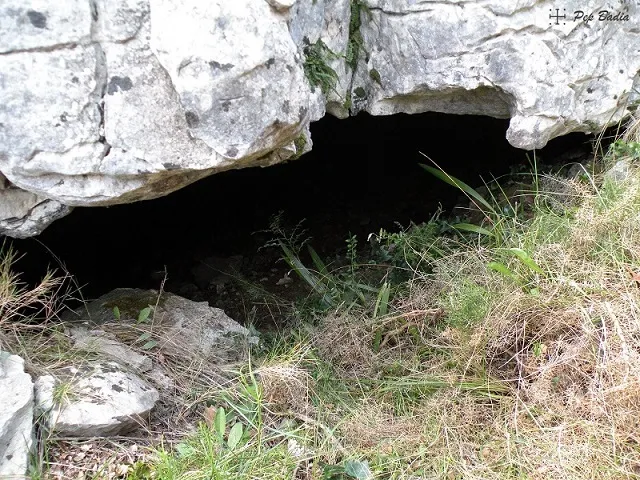 Cova del Pi