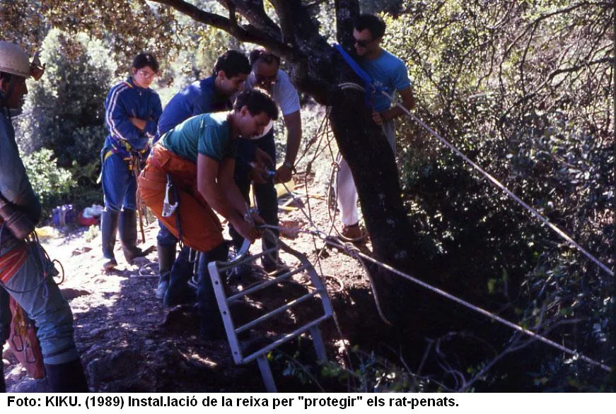 Avenc del Daví