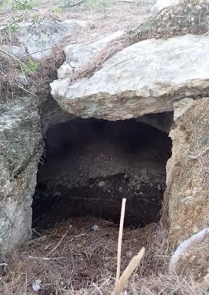 Cova Lloriguera