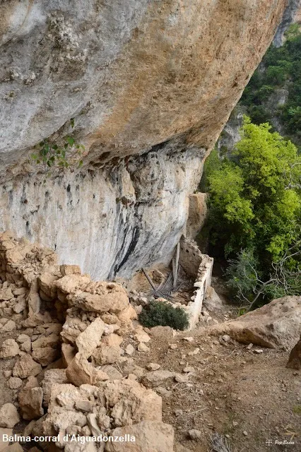 Coves d'Aiguadonzella