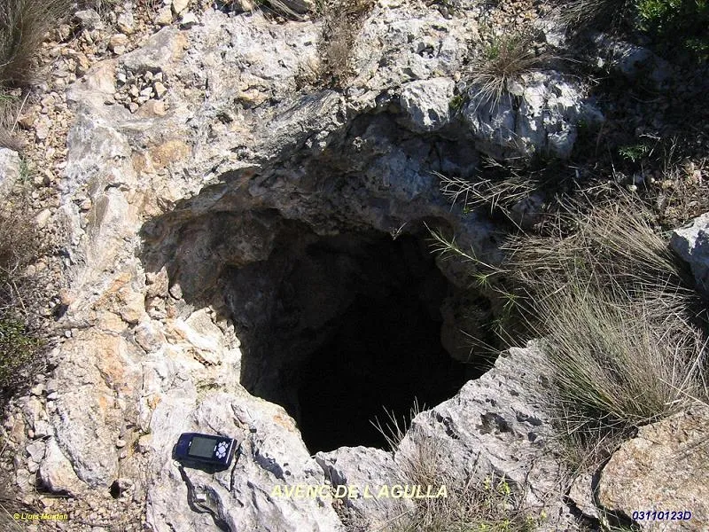 Avenc de l'Agulla