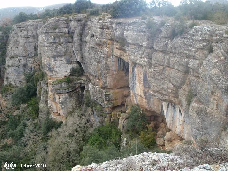 Cova dels Mosquits