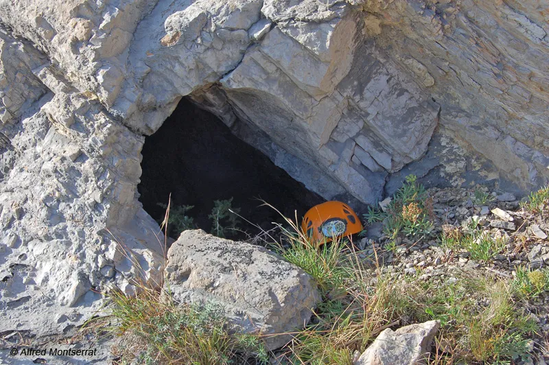 Cova de la Carretera