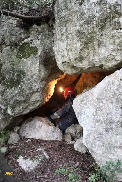 Cova Petita de l'Or