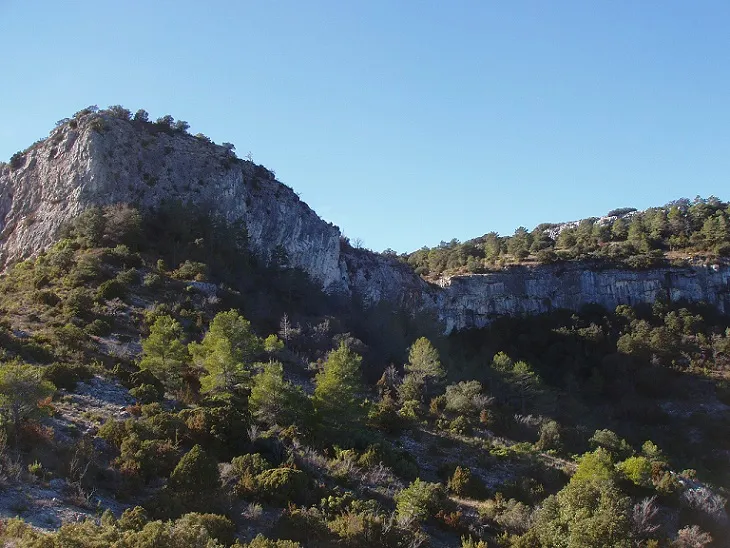 Cova dels Galls Carboners