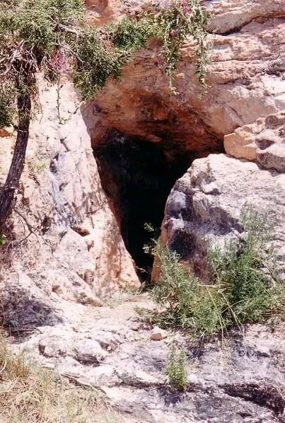 Cova del Barranc Fondo
