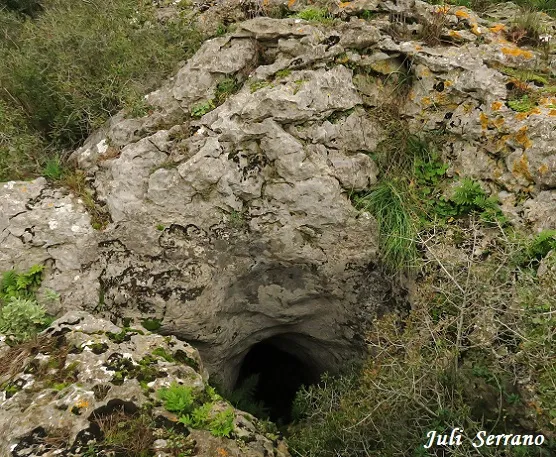 Cau Oest dels Cisternons