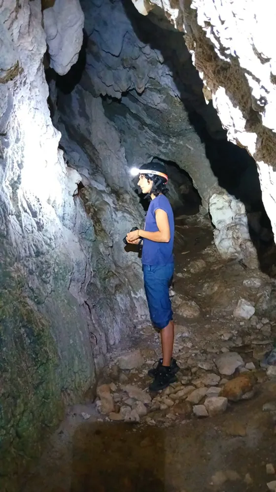 Foto Cova de l'Estret del Bosc de Quer