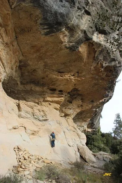 Cova de l'Ocell