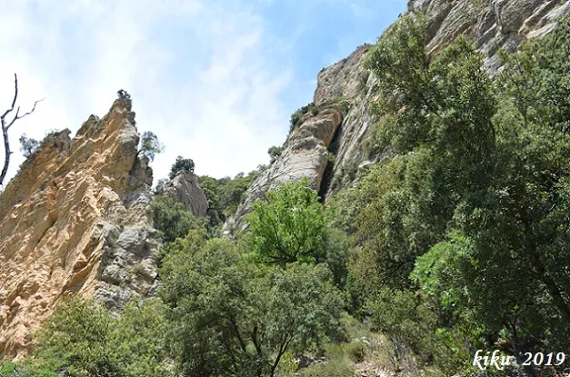 Cova del Pas de l'osca