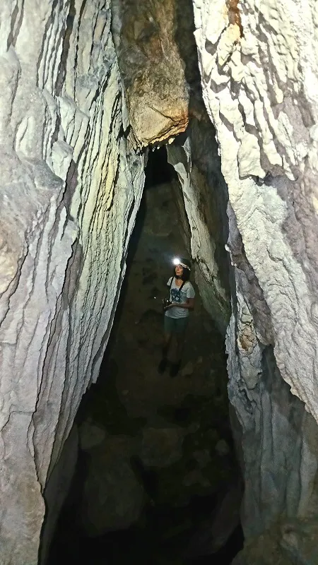Foto Cova de l'ínsula