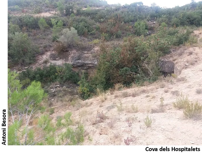 Cova dels Hospitalets