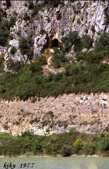 Cova dels Muricecs