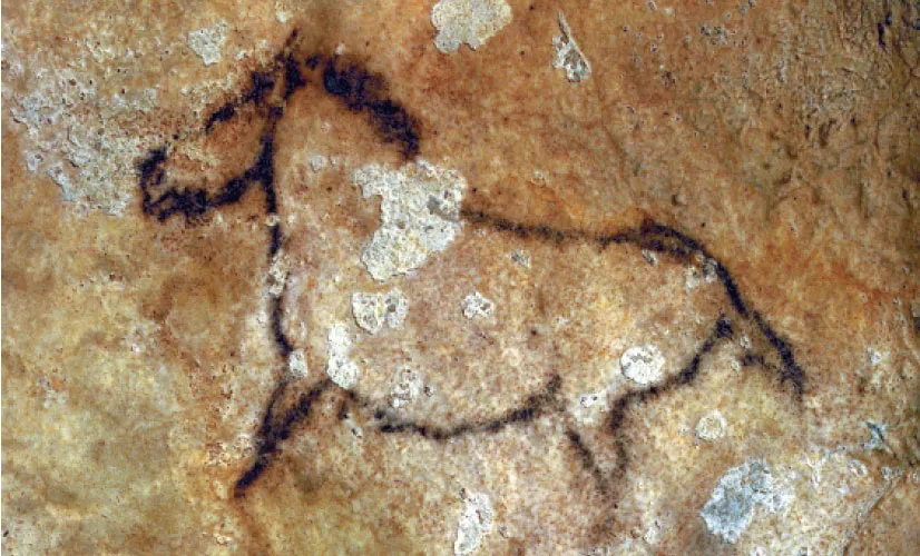 Cueva de Santimamiñe