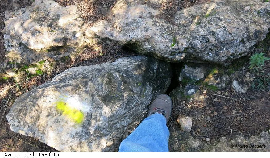 Avencs de la Desfeta