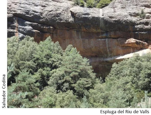 Espluga de Riu de Valls