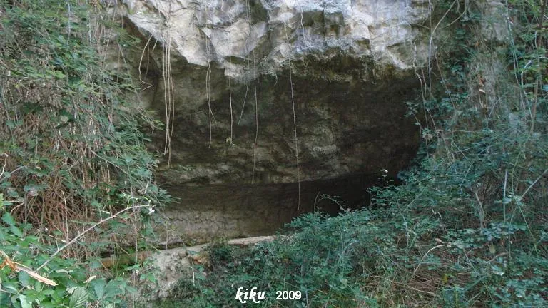 Cova de la Mosquera