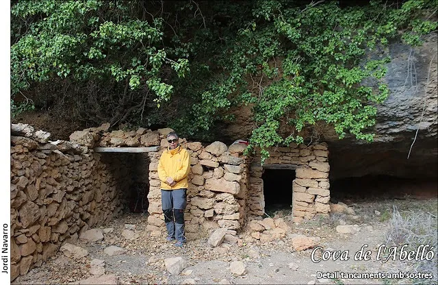 Cova de l'Abelló