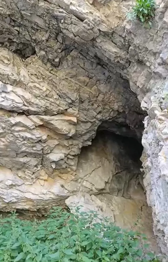Cova del Torrent dels Cortils