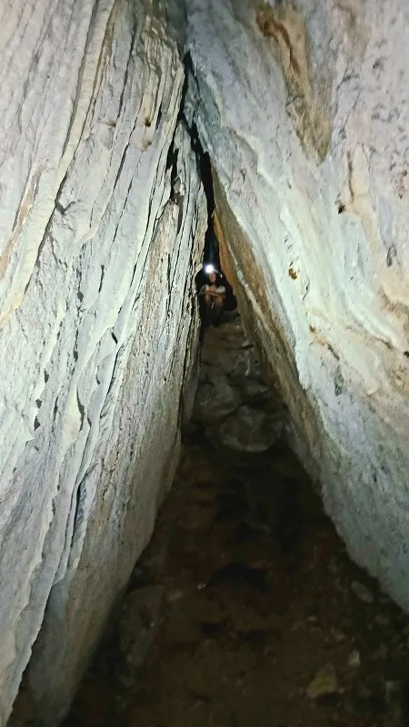 Foto Cova de l'ínsula