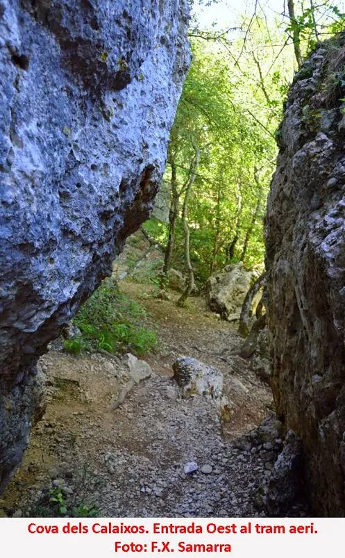 Cova dels Calaixos de l'ereldo