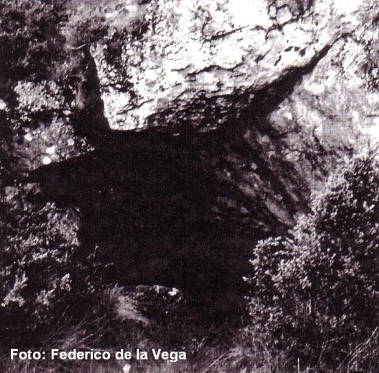 Lo Foric