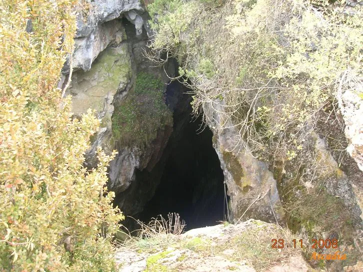 Graller del Boixeguer