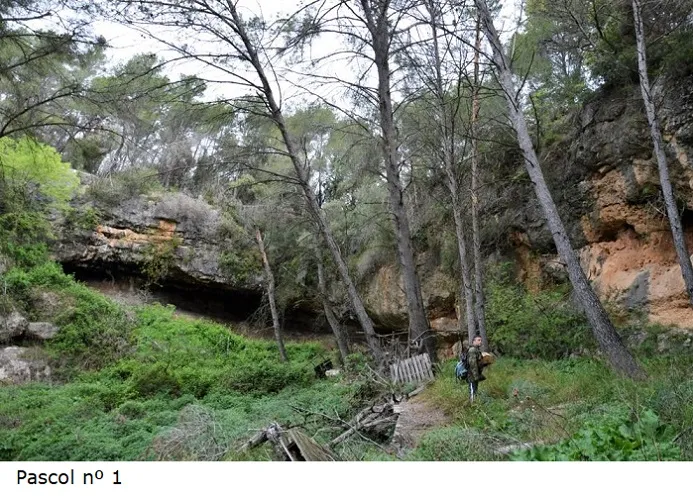 Coves del Pascol