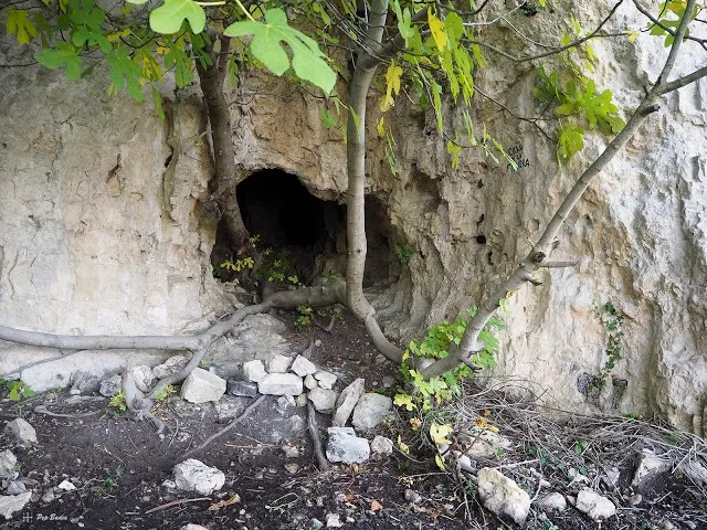 Cova de la Figuera