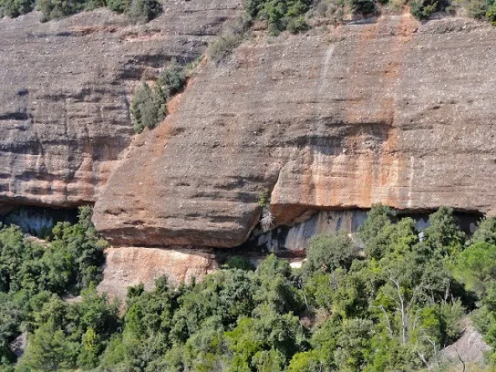 Balma del Sot de la Carda
