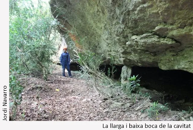 Balma del Pademí