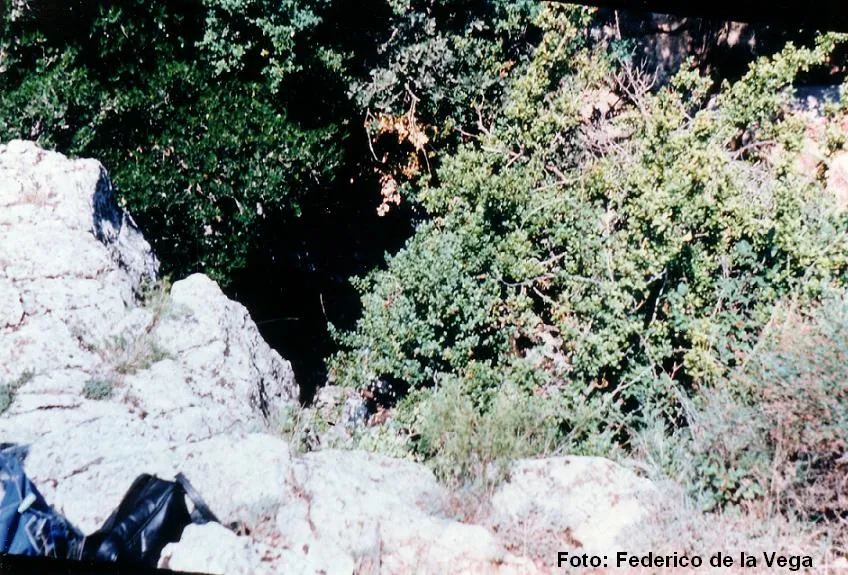 Cova del Biot