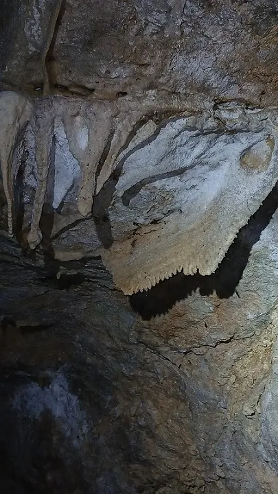 Foto Tuta de Can Vinardell