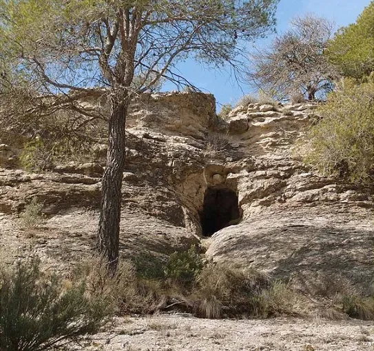 Cau del Llop