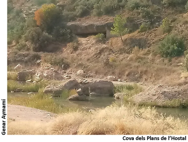 Cova dels Plans de l'hostal