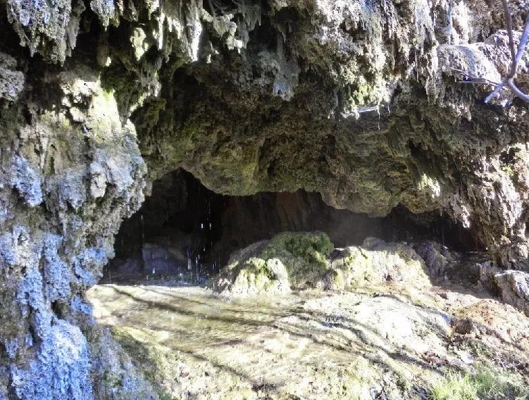 Cova de Fontanil