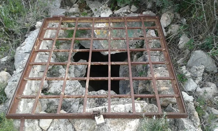 Cova del Tendo