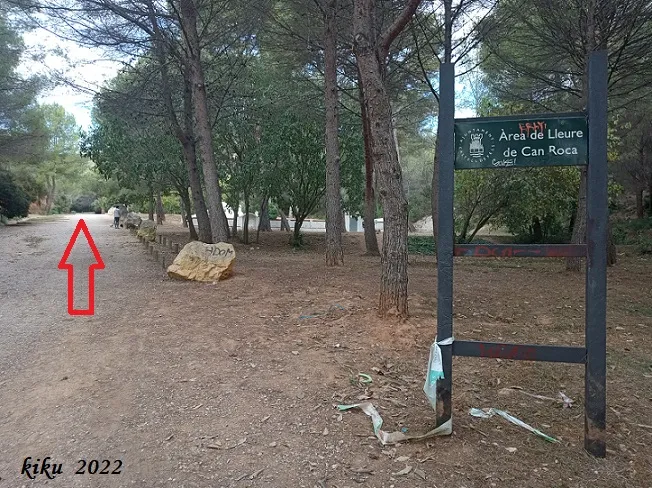 Avenc de Roca Negra