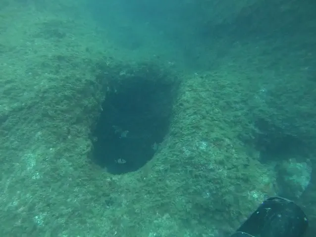 Cova Submarina de la Punta Grossa