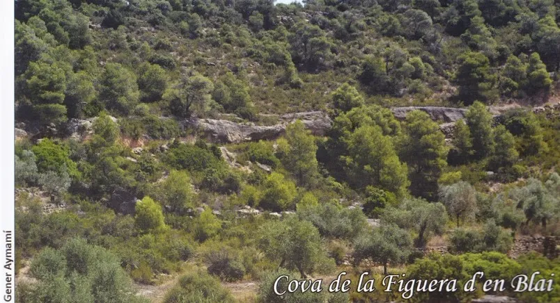 Cova de la Figuera d'en Blai