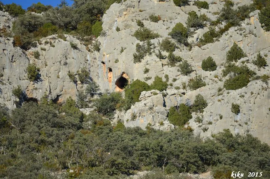 Cova Nº2 de les Collades