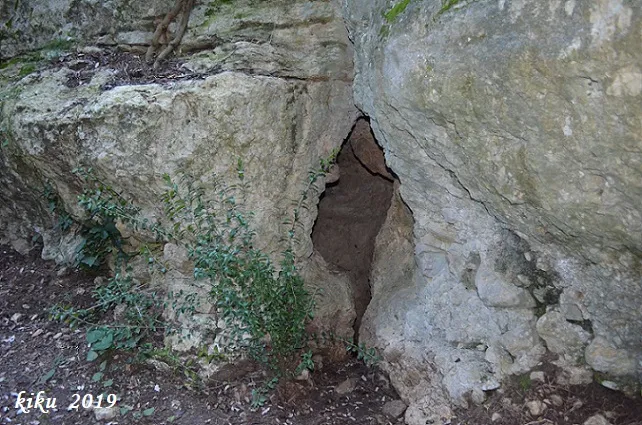 Cova de la Font de Sant Llorenç