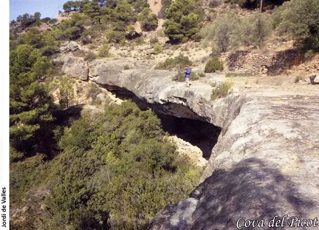 Cova del Picot