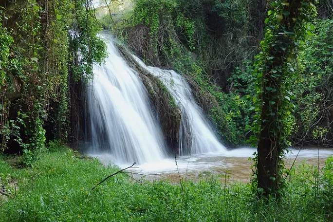 Cova del Saltant