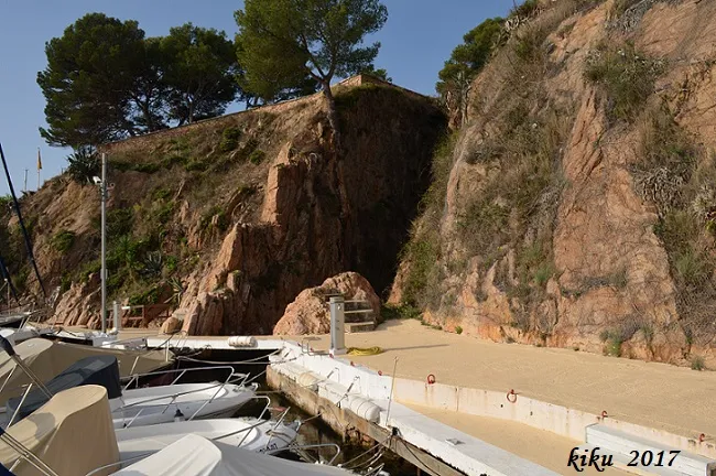 Cova del Fortí