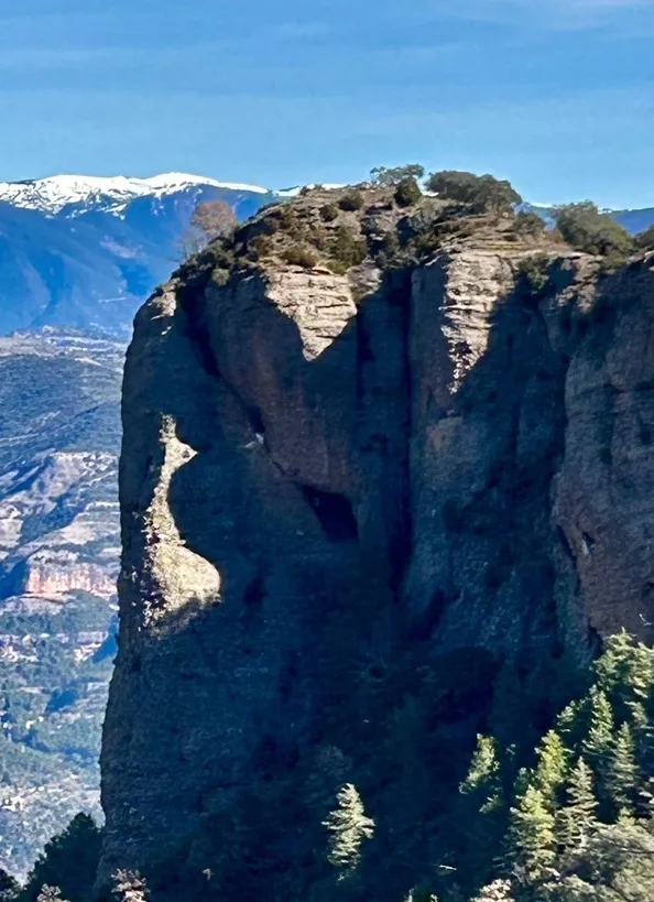 Photo Cova del Càvet