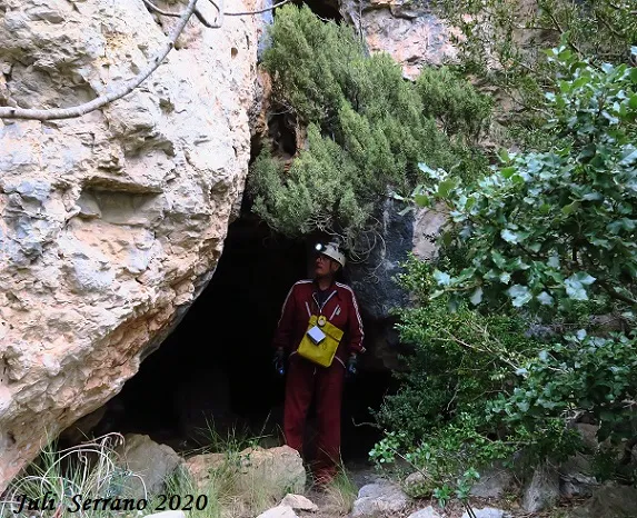 Cova del Falcó