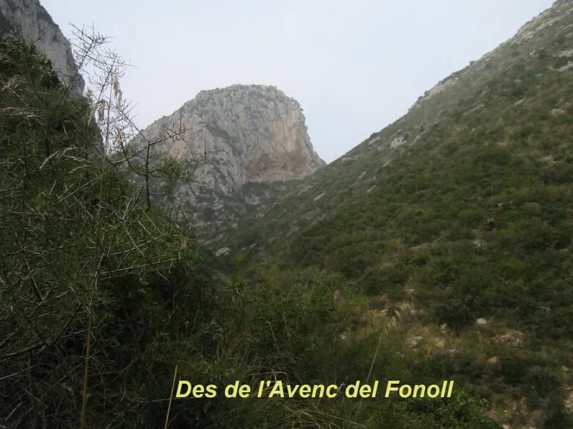 Avenc del Fonoll