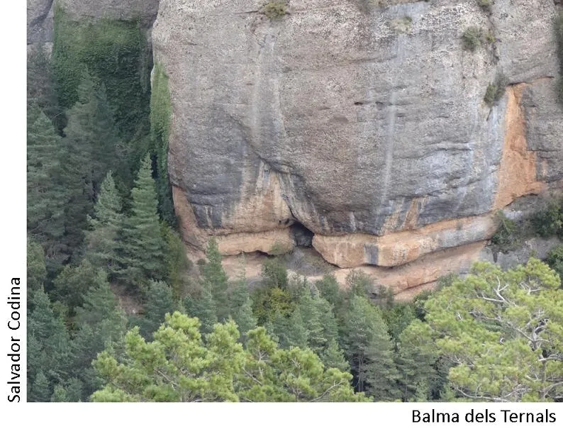 Balma dels Ternals