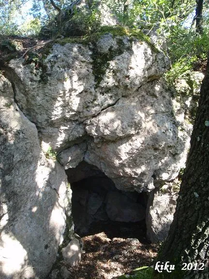 Querant de Picalts